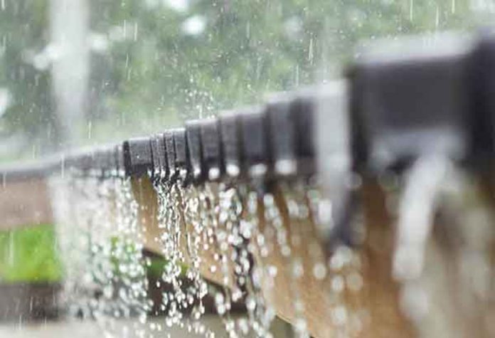 202001060157277425 Rain in Papanasam Manimuthar area SECVPF